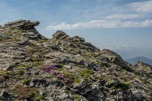 Auf dem Traumpfad von München nach Venedig - Tag 9 - Glungezerhütte zur Lizumerhütte 39 Inntaler Höhenweg