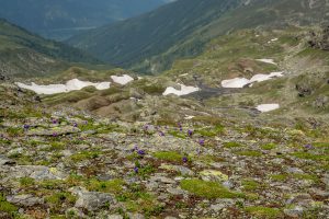 Auf dem Traumpfad von München nach Venedig - Tag 9 - Glungezerhütte zur Lizumerhütte 27 Inntaler Höhenweg
