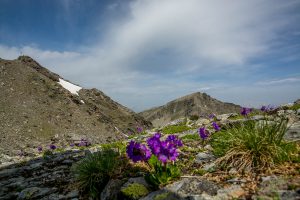 Auf dem Traumpfad von München nach Venedig - Tag 9 - Glungezerhütte zur Lizumerhütte 21 Inntaler Höhenweg