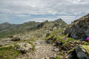 Auf dem Traumpfad von München nach Venedig - Tag 9 - Glungezerhütte zur Lizumerhütte 55 Pfad zur Sonnenspitze