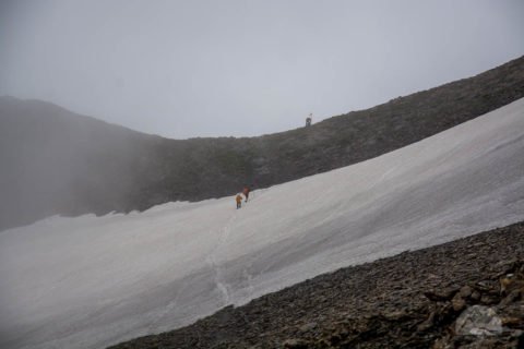 Auf dem Traumpfad von München nach Venedig - Tag 10 - Lizumerhütte zum Tuxerjochhaus 11 München Venedig Tag 10 - Gschützspitzsattel Schneefeld