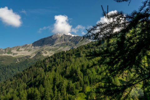 Blick zurück zur Grawand
