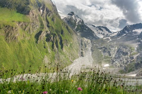 Auf dem Traumpfad von München nach Venedig - Tag 13 - von Stein in Südtirol nach Pfunders 28 Hochfeilerpanorama