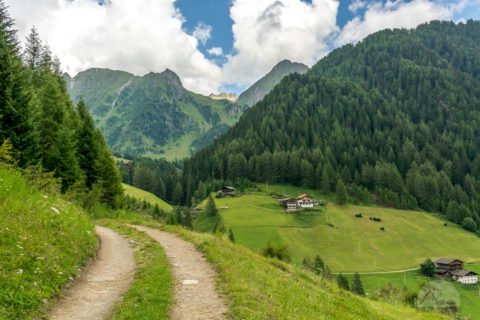 Auf dem Traumpfad von München nach Venedig - Tag 13 - von Stein in Südtirol nach Pfunders 56 Pustertalimpressionen