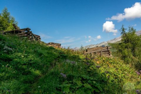 Unterberg-Hütten oder Wiener Neustadt