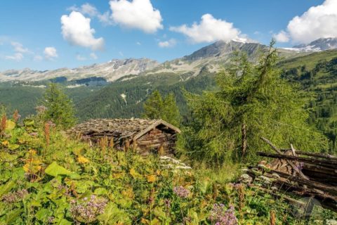 verfallene Unterberghütten