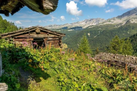 verfallene Unterberghütten