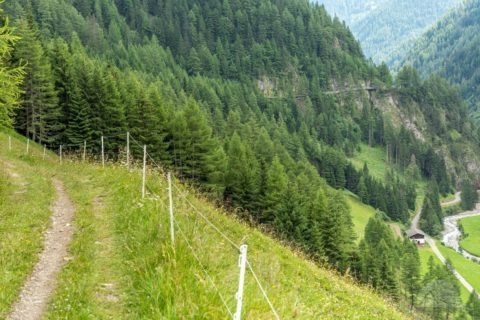 Auf dem Traumpfad von München nach Venedig - Tag 13 - von Stein in Südtirol nach Pfunders 57 Weg entlang des Berges im PUstertal