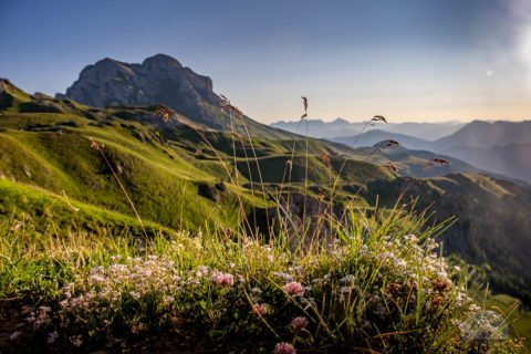 Peitlerkofel im Morgenlicht