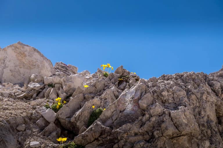 Alpenüberquerung - von München nach Venedig – Tag 17 – vom Grödner Joch auf den Piz Boe 22