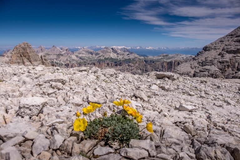 Alpenüberquerung - von München nach Venedig – Tag 17 – vom Grödner Joch auf den Piz Boe 28