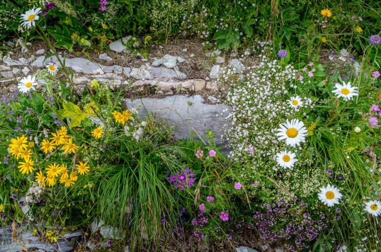Tag 21 - Alpenüberquerung zu Fuß - München nach Venedig Vom Rifugio Bruto Carestiato​ zum Rifugio Pian de Fontana 59