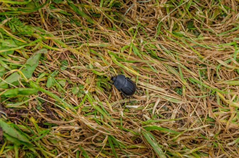 Tag 21 - Alpenüberquerung zu Fuß - München nach Venedig Vom Rifugio Bruto Carestiato​ zum Rifugio Pian de Fontana 66