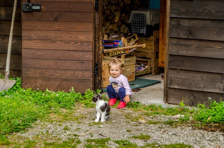 Tag 22 - Alpenüberquerung zu Fuß - München nach Venedig Vom Rifugio Pian de Fontana zum Rifugio 7 Alpini 61