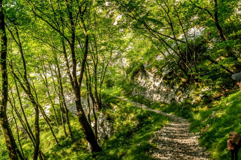 Tag 23 - Alpenüberquerung zu Fuß - München nach Venedig Vom Rifugio 7 Alpini nach Belluno 19