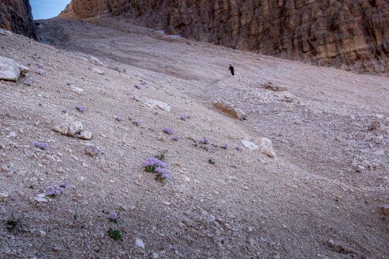 Alpenüberquerung - von München nach Venedig – Tag 18 – vom Piz Boe ins Tal - Hotel Roy 43 Alpenüberquerung - von München nach Venedig – Tag 18 – vom Piz Boe ins Tal - Hotel Roy 41