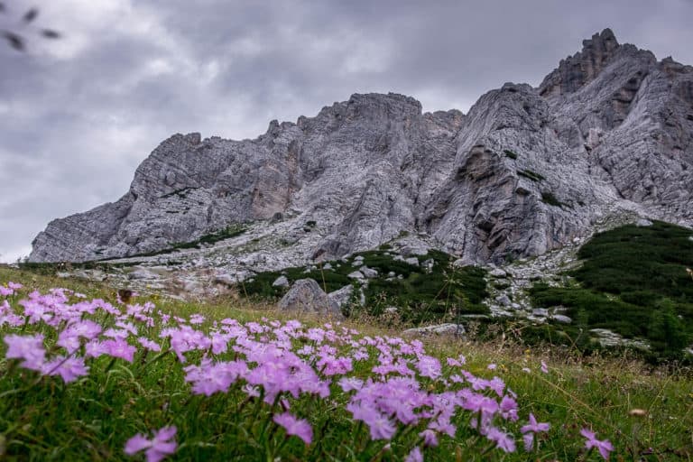 Alpenüberquerung zu Fuß - von München nach Venedig – Tag 20 – vom Rifugio Tissi zum Rifugio Bruto Carestiato 8 Alpenüberquerung zu Fuß - von München nach Venedig – Tag 20 – vom Rifugio Tissi zum Rifugio Bruto Carestiato 8