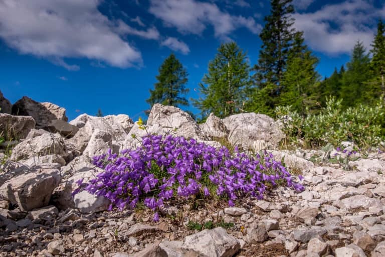 Alpenüberquerung zu Fuß - von München nach Venedig – Tag 20 – vom Rifugio Tissi zum Rifugio Bruto Carestiato 11 Alpenüberquerung zu Fuß - von München nach Venedig – Tag 20 – vom Rifugio Tissi zum Rifugio Bruto Carestiato 11