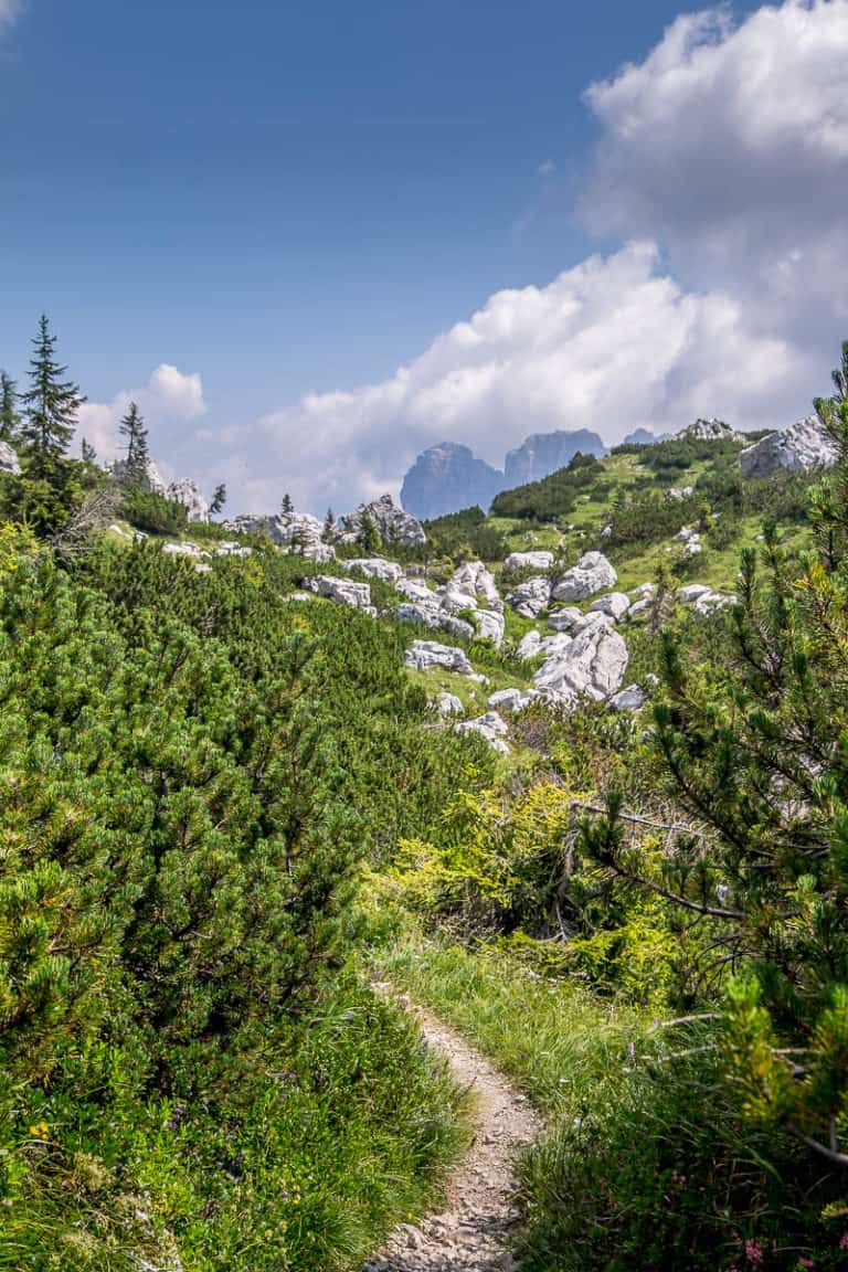 Tag 21 - Alpenüberquerung zu Fuß - München nach Venedig Vom Rifugio Bruto Carestiato​ zum Rifugio Pian de Fontana 24