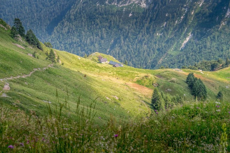 Tag 21 - Alpenüberquerung zu Fuß - München nach Venedig Vom Rifugio Bruto Carestiato​ zum Rifugio Pian de Fontana 55