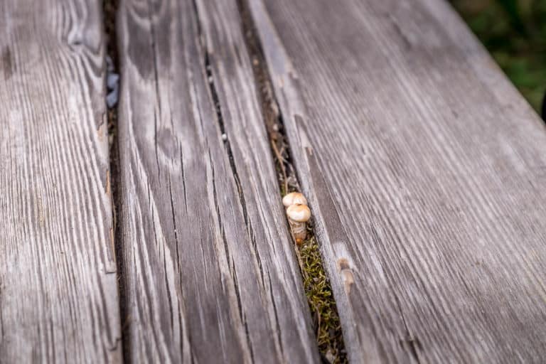 Tag 21 - Alpenüberquerung zu Fuß - München nach Venedig Vom Rifugio Bruto Carestiato​ zum Rifugio Pian de Fontana 60