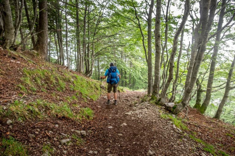 Tag 22 - Alpenüberquerung zu Fuß - München nach Venedig Vom Rifugio Pian de Fontana zum Rifugio 7 Alpini 3