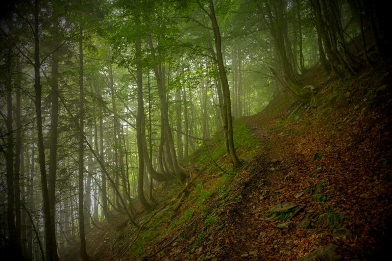 Tag 22 - Alpenüberquerung zu Fuß - München nach Venedig Vom Rifugio Pian de Fontana zum Rifugio 7 Alpini 4