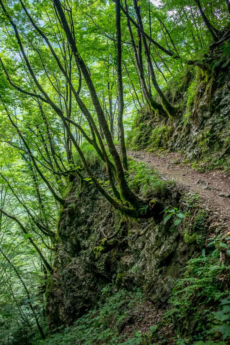 Tag 23 - Alpenüberquerung zu Fuß - München nach Venedig Vom Rifugio 7 Alpini nach Belluno 18