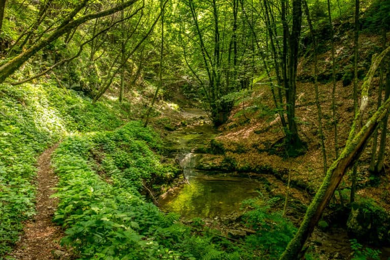 Tag 24 - Alpenüberquerung zu Fuß - München nach Venedig - Von Belluno zum Rifugio Col Visentin 17