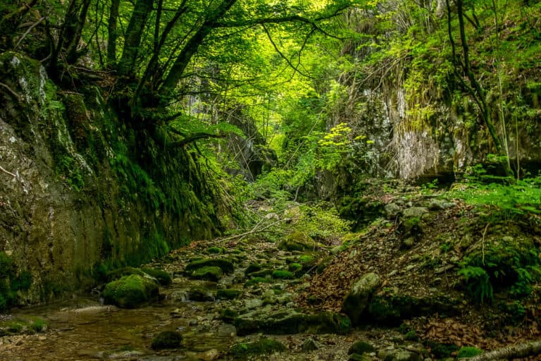Tag 24 - Alpenüberquerung zu Fuß - München nach Venedig - Von Belluno zum Rifugio Col Visentin 19