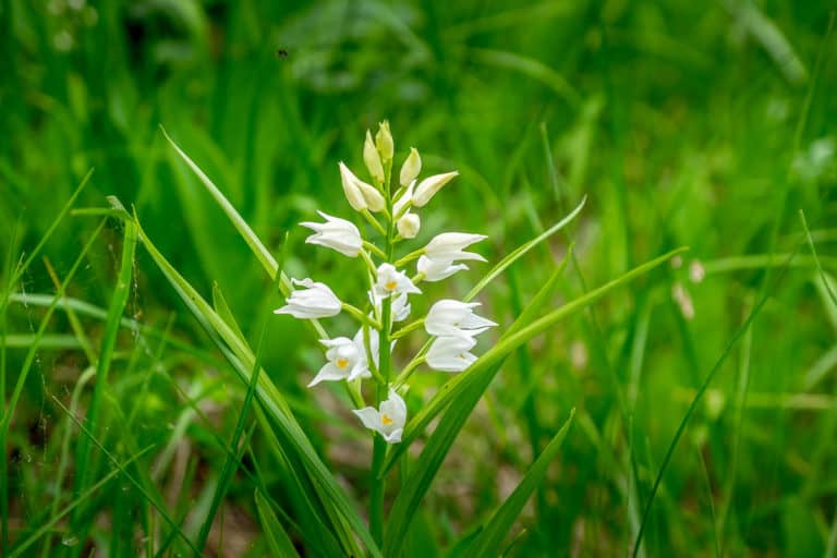 Tag 24 - Alpenüberquerung zu Fuß - München nach Venedig - Von Belluno zum Rifugio Col Visentin 22