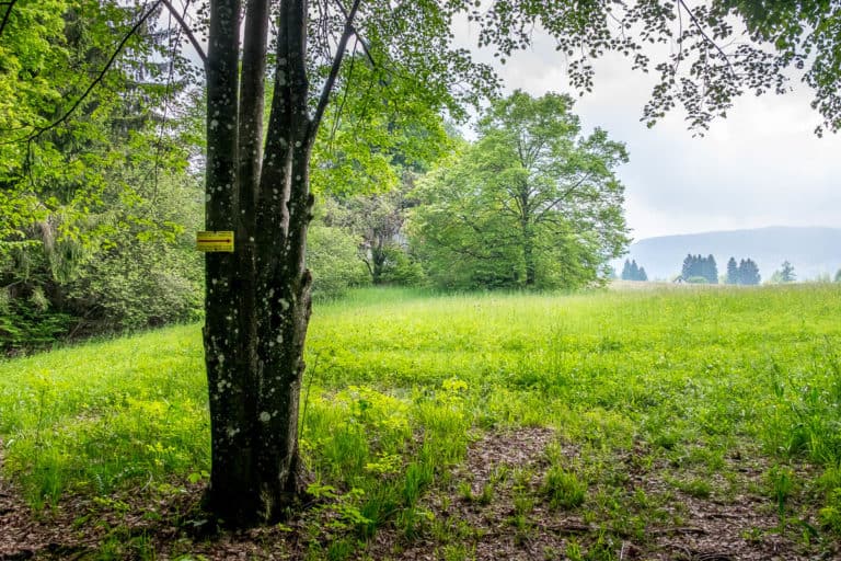 Tag 24 - Alpenüberquerung zu Fuß - München nach Venedig - Von Belluno zum Rifugio Col Visentin 23