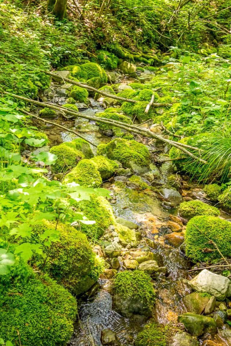 Tag 24 - Alpenüberquerung zu Fuß - München nach Venedig - Von Belluno zum Rifugio Col Visentin 26