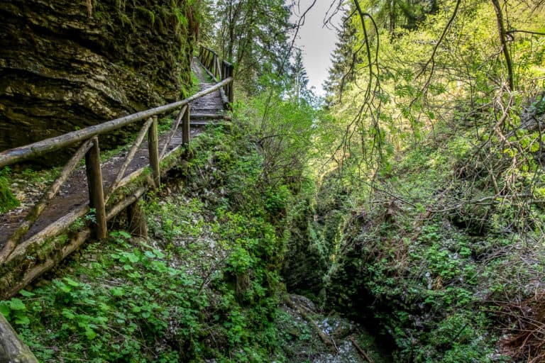 Tag 24 - Alpenüberquerung zu Fuß - München nach Venedig - Von Belluno zum Rifugio Col Visentin 35