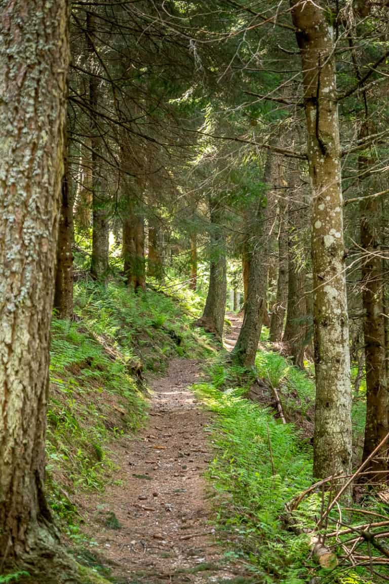 Tag 24 - Alpenüberquerung zu Fuß - München nach Venedig - Von Belluno zum Rifugio Col Visentin 37