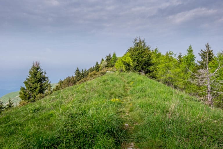 Tag 25 - Alpenüberquerung zu Fuß - München nach Venedig - Vom Rifugio Col Visentin nach Arfanta 15