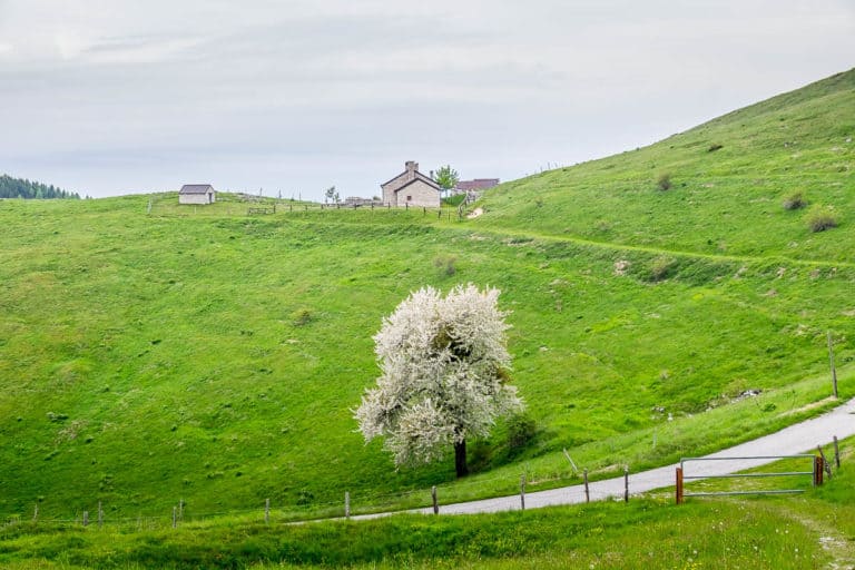 Tag 25 - Alpenüberquerung zu Fuß - München nach Venedig - Vom Rifugio Col Visentin nach Arfanta 36