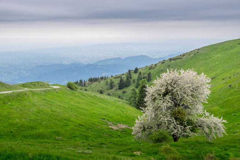 Tag 25 - Alpenüberquerung zu Fuß - München nach Venedig - Vom Rifugio Col Visentin nach Arfanta 37