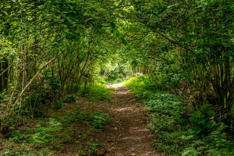 Tag 25 - Alpenüberquerung zu Fuß - München nach Venedig - Vom Rifugio Col Visentin nach Arfanta 44