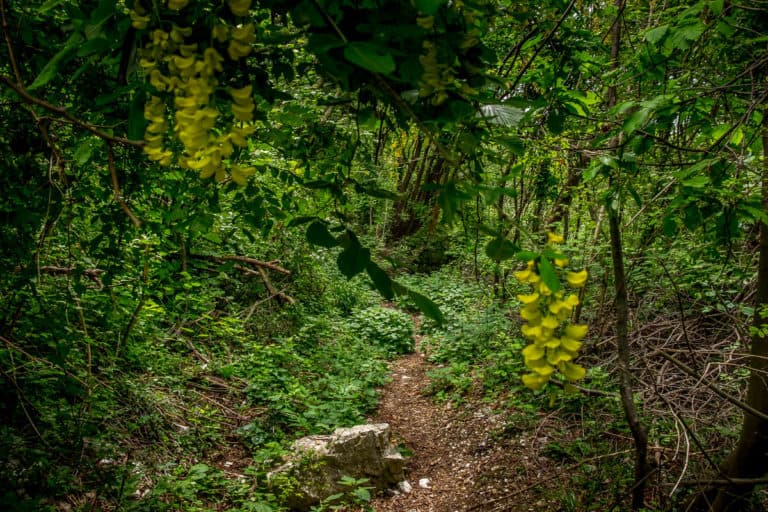 Tag 25 - Alpenüberquerung zu Fuß - München nach Venedig - Vom Rifugio Col Visentin nach Arfanta 46