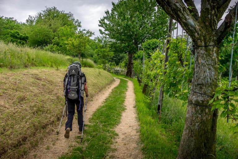 Tag 25 - Alpenüberquerung zu Fuß - München nach Venedig - Vom Rifugio Col Visentin nach Arfanta 56