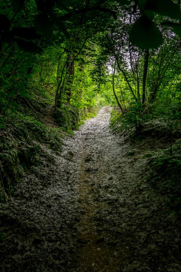 Tag 25 - Alpenüberquerung zu Fuß - München nach Venedig - Vom Rifugio Col Visentin nach Arfanta 58