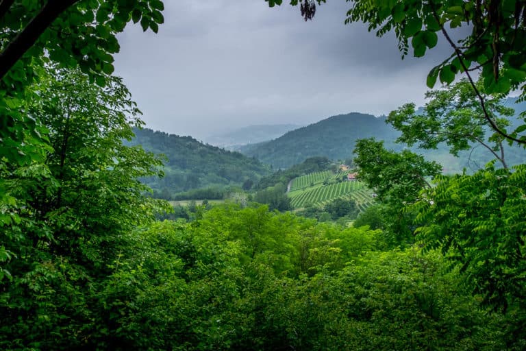 Tag 25 - Alpenüberquerung zu Fuß - München nach Venedig - Vom Rifugio Col Visentin nach Arfanta 64