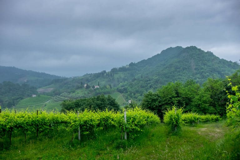 Tag 25 - Alpenüberquerung zu Fuß - München nach Venedig - Vom Rifugio Col Visentin nach Arfanta 65
