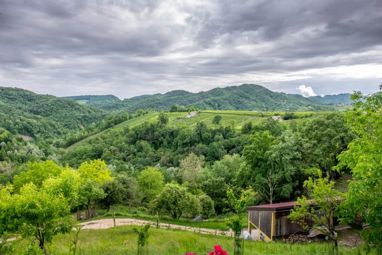 Tag 25 - Alpenüberquerung zu Fuß - München nach Venedig - Vom Rifugio Col Visentin nach Arfanta 70