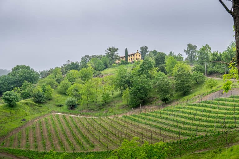 Tag 26 - Alpenüberquerung zu Fuß - München nach Venedig - Von Arfanta nach Spresiano 2 Tag 26 - Alpenüberquerung zu Fuß - München nach Venedig - Von Arfanta nach Spresiano 2