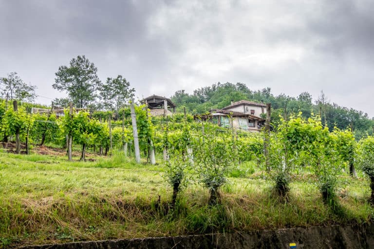 Tag 26 - Alpenüberquerung zu Fuß - München nach Venedig - Von Arfanta nach Spresiano 12 Tag 26 - Alpenüberquerung zu Fuß - München nach Venedig - Von Arfanta nach Spresiano 12