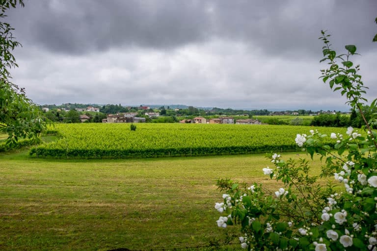 Tag 26 - Alpenüberquerung zu Fuß - München nach Venedig - Von Arfanta nach Spresiano 13 Tag 26 - Alpenüberquerung zu Fuß - München nach Venedig - Von Arfanta nach Spresiano 13