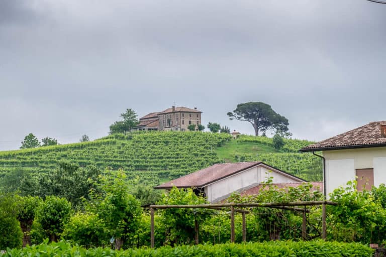 Tag 26 - Alpenüberquerung zu Fuß - München nach Venedig - Von Arfanta nach Spresiano 15 Tag 26 - Alpenüberquerung zu Fuß - München nach Venedig - Von Arfanta nach Spresiano 15