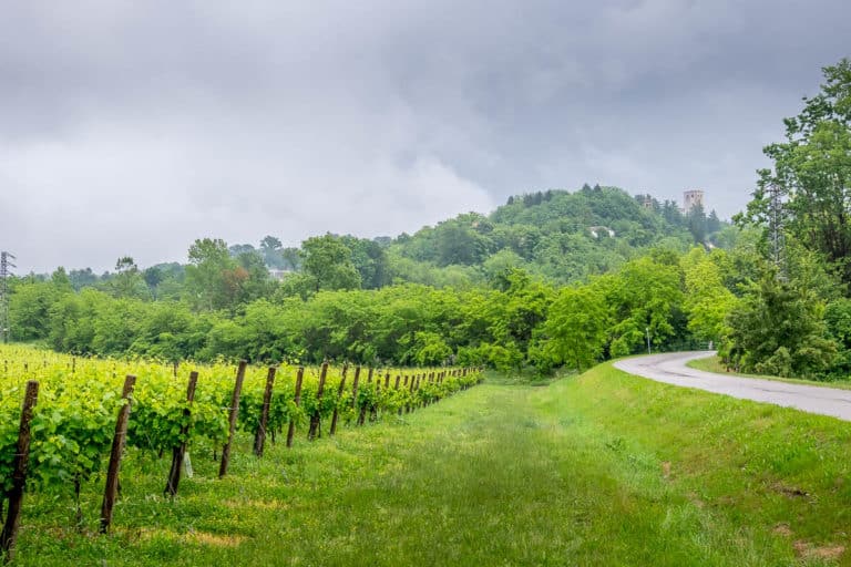 Tag 26 - Alpenüberquerung zu Fuß - München nach Venedig - Von Arfanta nach Spresiano 17 Tag 26 - Alpenüberquerung zu Fuß - München nach Venedig - Von Arfanta nach Spresiano 17